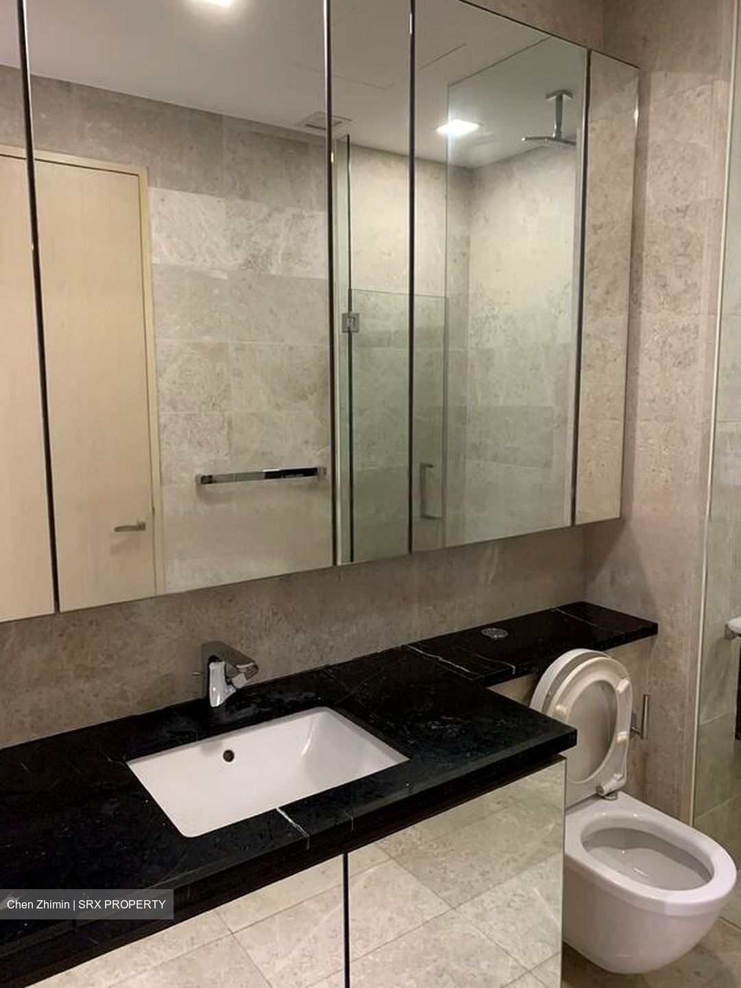 The Boutiq (D9), Apartment #456011921
